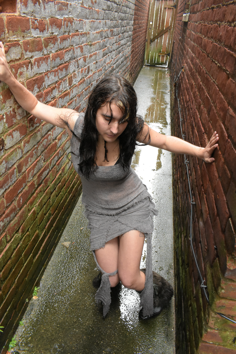 Screen Shot 2022-11-29 at 1.18.46 PM